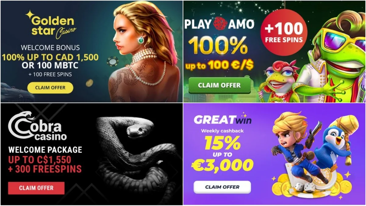 Sc slots net worth