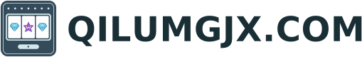 QILUMGJX.COM